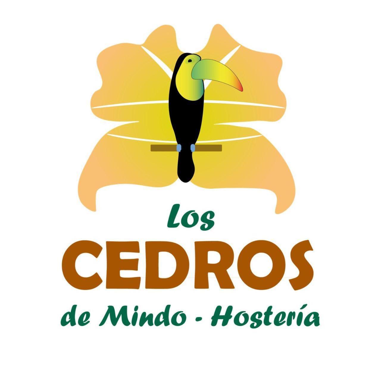 Hosteria Los Cedros De Mindo Exterior photo